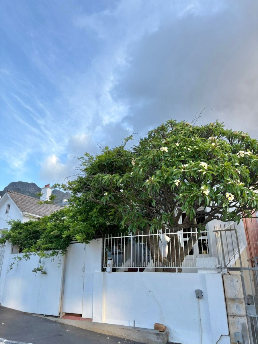 To Let 1 Bedroom Property for Rent in Vredehoek Western Cape